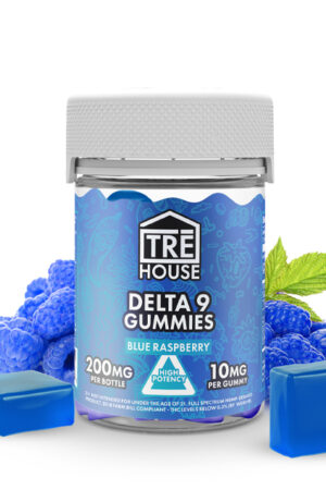 buy Blue Raspberry Delta 9 THC Gummies